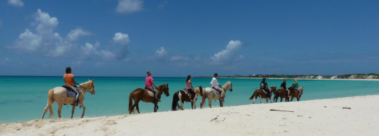 Passeio a cavalo em uma das praias de Anguilla